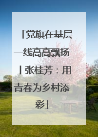 党旗在基层一线高高飘扬丨张桂芳：用青春为乡村添彩