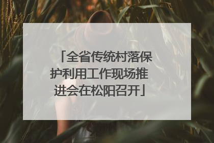全省传统村落保护利用工作现场推进会在松阳召开