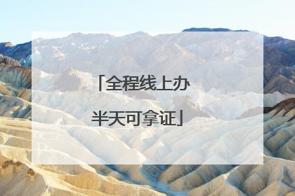 全程线上办 半天可拿证