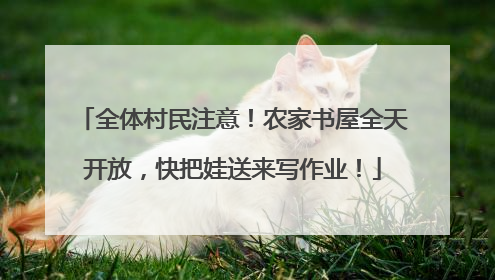 全体村民注意！农家书屋全天开放，快把娃送来写作业！