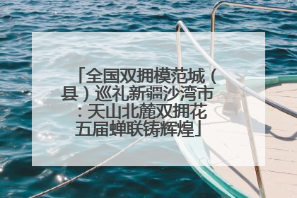 全国双拥模范城（县）巡礼新疆沙湾市：天山北麓双拥花 五届蝉联铸辉煌
