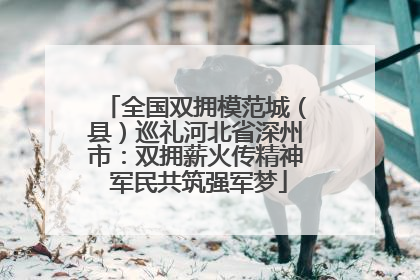 全国双拥模范城（县）巡礼河北省深州市：双拥薪火传精神 军民共筑强军梦