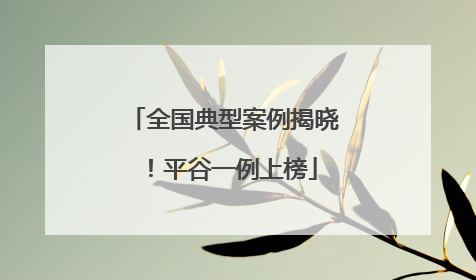 全国典型案例揭晓！平谷一例上榜