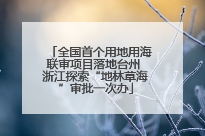 全国首个用地用海联审项目落地台州 浙江探索“地林草海”审批一次办