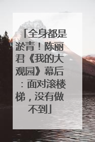 全身都是淤青！陈丽君《我的大观园》幕后：面对滚楼梯，没有做不到