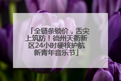 全链条锁价，舌尖上筑防！德州天衢新区24小时硬核护航新青年音乐节
