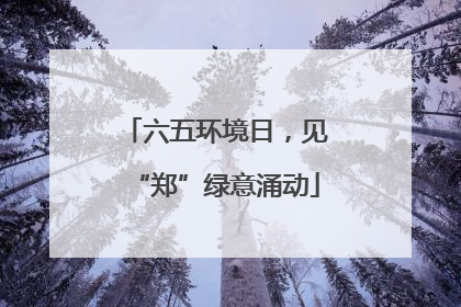 六五环境日，见“郑”绿意涌动