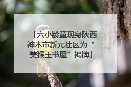 六小龄童现身陕西神木市新元社区为“美猴王书屋”揭牌