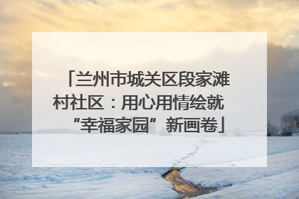 兰州市城关区段家滩村社区：用心用情绘就“幸福家园”新画卷