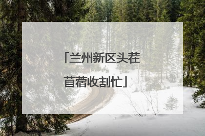 兰州新区头茬苜蓿收割忙