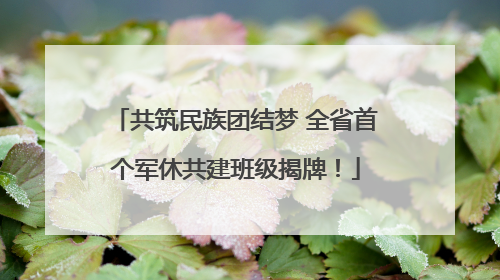 共筑民族团结梦 全省首个军休共建班级揭牌！