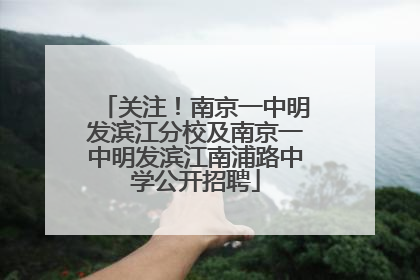 关注！南京一中明发滨江分校及南京一中明发滨江南浦路中学公开招聘