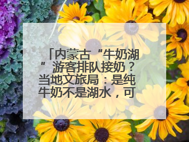 内蒙古“牛奶湖”游客排队接奶？当地文旅局：是纯牛奶不是湖水，可放心喝