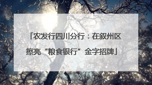 农发行四川分行：在叙州区擦亮“粮食银行”金字招牌