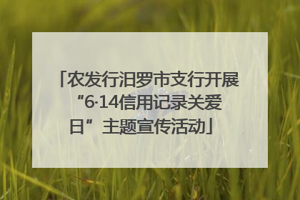 农发行汨罗市支行开展“6·14信用记录关爱日”主题宣传活动