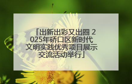出新出彩又出圈 2025年硚口区新时代文明实践优秀项目展示交流活动举行