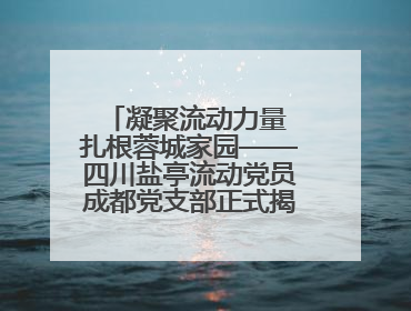 凝聚流动力量 扎根蓉城家园——四川盐亭流动党员成都党支部正式揭牌成立