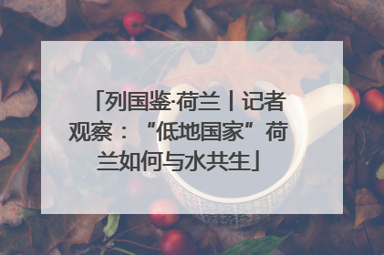 列国鉴·荷兰丨记者观察：“低地国家”荷兰如何与水共生