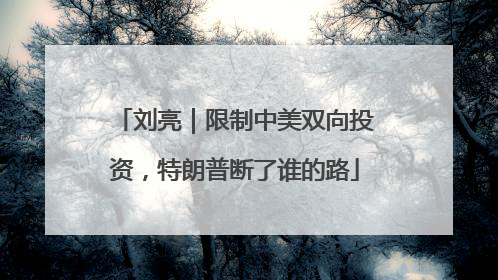 刘亮｜限制中美双向投资，特朗普断了谁的路