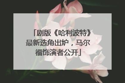 剧版《哈利波特》最新选角出炉，马尔福饰演者公开