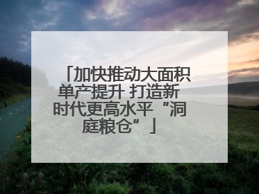 加快推动大面积单产提升 打造新时代更高水平“洞庭粮仓”