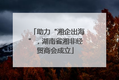 助力“湘企出海”，湖南省湘非经贸商会成立