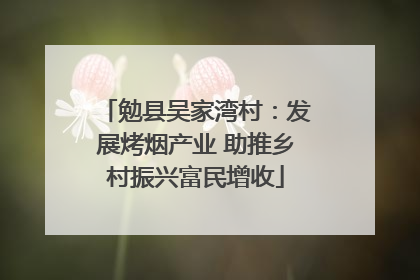 勉县吴家湾村：发展烤烟产业 助推乡村振兴富民增收