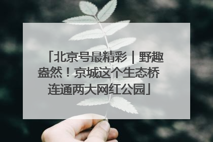北京号最精彩｜野趣盎然！京城这个生态桥连通两大网红公园