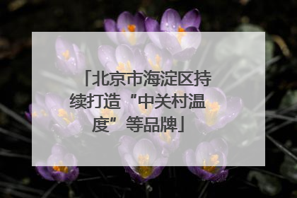 北京市海淀区持续打造“中关村温度”等品牌