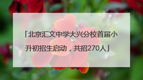 北京汇文中学大兴分校首届小升初招生启动，共招270人