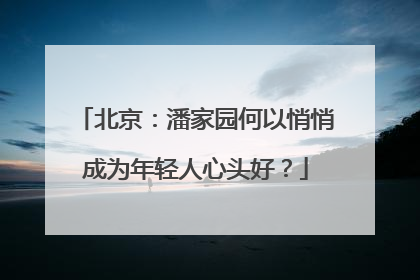 北京：潘家园何以悄悄成为年轻人心头好？