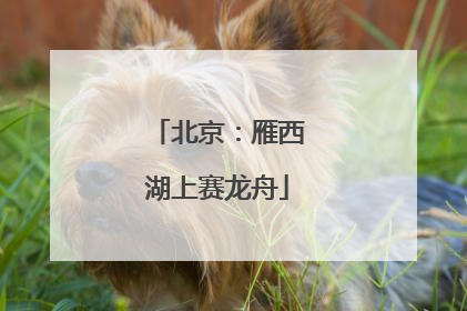 北京：雁西湖上赛龙舟