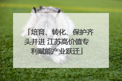培育、转化、保护齐头并进 江苏高价值专利赋能产业跃迁