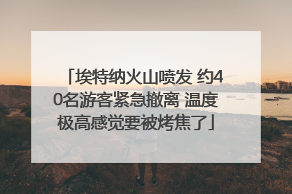 埃特纳火山喷发 约40名游客紧急撤离 温度极高感觉要被烤焦了