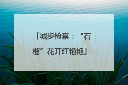城步检察：“石榴”花开红艳艳