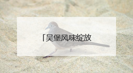 吴堡风味绽放北京——吴堡县农特产品推介会在北京举行