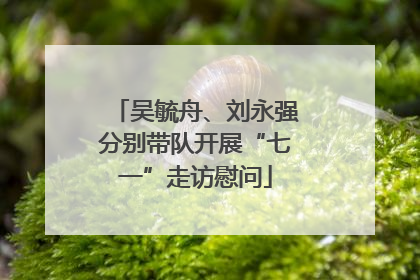 吴毓舟、刘永强分别带队开展“七一”走访慰问