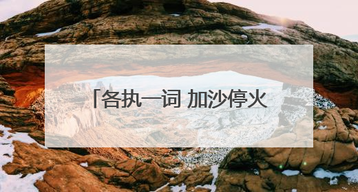 各执一词 加沙停火方案陷“罗生门”