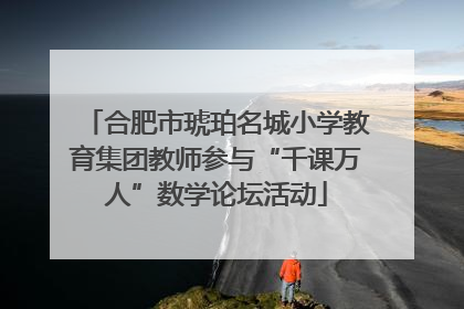 合肥市琥珀名城小学教育集团教师参与“千课万人”数学论坛活动