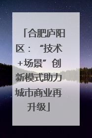 合肥庐阳区：“技术+场景”创新模式助力城市商业再升级