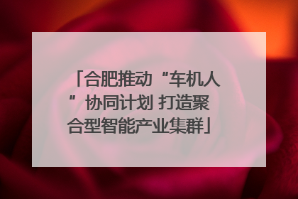 合肥推动“车机人”协同计划 打造聚合型智能产业集群