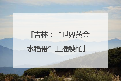 吉林：“世界黄金水稻带”上插秧忙
