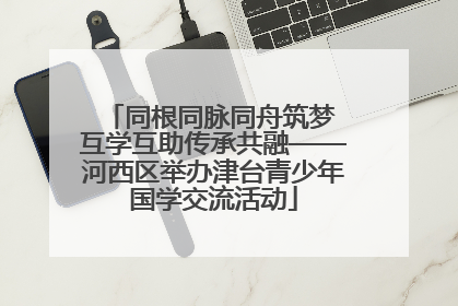 同根同脉同舟筑梦 互学互助传承共融——河西区举办津台青少年国学交流活动