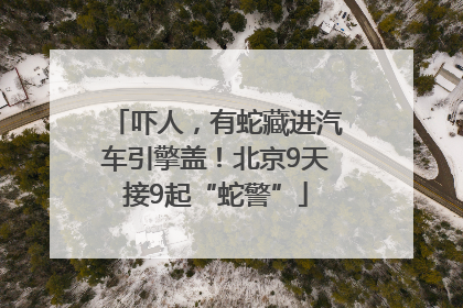吓人，有蛇藏进汽车引擎盖！北京9天接9起“蛇警”