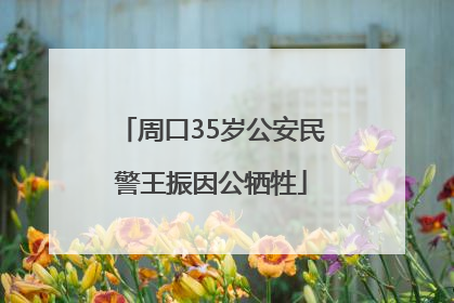 周口35岁公安民警王振因公牺牲