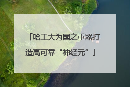 哈工大为国之重器打造高可靠“神经元”