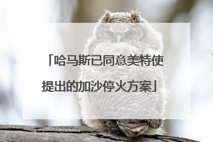 哈马斯已同意美特使提出的加沙停火方案