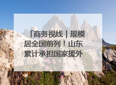 商务视线｜规模居全国前列！山东累计承担国家援外项目340多个