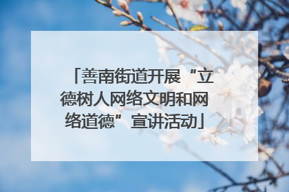 善南街道开展“立德树人网络文明和网络道德”宣讲活动