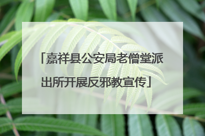嘉祥县公安局老僧堂派出所开展反邪教宣传